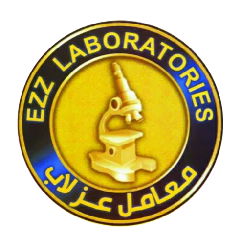 EZZ Lab Logo